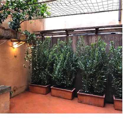 Farnese 48 Penzion