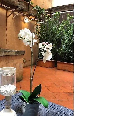 Vendégház Farnese 48 4*